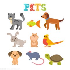币安交易所app下载最新版